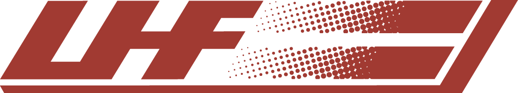 Latvia 19-Pres Primary Logo iron on heat transfer